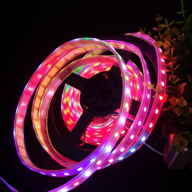 Digitale RGB Led Strip 60 X WS2813 Zwart Waterproof IP67 5V Per